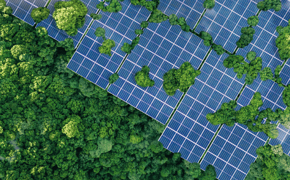 T20 - Sustainability 01